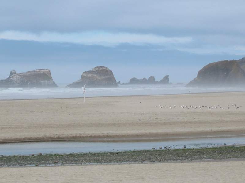 <i><b>126-Cannon Beach</b></i>